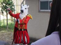 暴太郎战队剧场版：真白马王子登场，鬼妹化身演员，还有未知齿轮