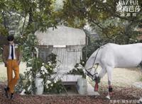 肖战白马骑士与精灵王子造型碰撞，粉丝看到后炸了！