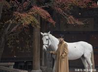 肖战白马骑士与精灵王子造型碰撞，粉丝看到后炸了！