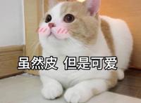 动漫中那些如同白马王子般的角色，前三名没一个熟悉的