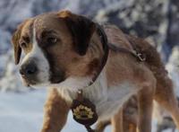 揭秘好莱坞电影特效拍摄过程，原来我们被骗了好多年