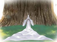 狐妖小红娘：凤栖爆出黑狐来自苦情树，涂山美美或许不是纯粹酱油