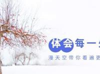 当小花仙中的主角都变成了小不点，椿大人好可爱，莉莉的最罕见