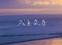 动漫帅气女生头像丨“他把温柔散开，放进弯起的眼睛里”