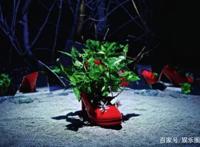 动画电影《女他》讲述了被压迫的女鞋展开复仇的故事
