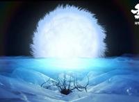 《女他》：先锋派，定格动画，这些头衔你都知道吗？