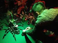 《女他》：先锋派，定格动画，这些头衔你都知道吗？