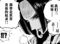 海贼王中，要是女帝天龙人奴隶的身份曝光，她会被驱逐女儿国吗？