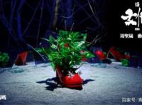 一部体现女性意识觉醒的动漫，《女他》，有反抗才会有希望