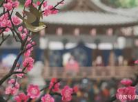 带着千与千寻的影子，温泉屋的小老板娘更具治愈感