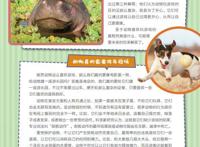 《神奇乐园历险记》之动物也爱玩乐