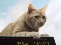 全球票房《比悲伤更悲伤的故事》内地开画大爆夺得亚军！