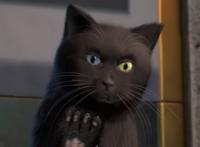 雄兵连3：华烨转生成猫？蕾娜即将回归！鹤熙凯莎更美了！