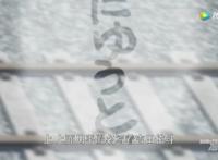 《名侦探柯南》981集：小哀挂件被找到了，情况却出乎意料！