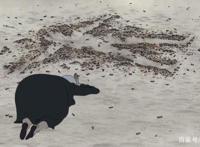 「奥斯卡动画短片盘点」短片年年有，今年特别强