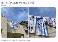 动漫美少女抱枕，究竟毁了多少宅男的人生？