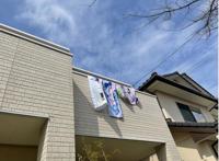 动漫美少女抱枕，究竟毁了多少宅男的人生？