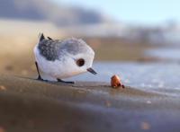 看图猜动画，皮克斯著名的动画片，你看过几部？