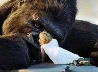 好莱坞表达英雄的方式，程式化下的意识形态表达