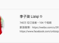 在“李子柒”式的传播滤镜下，快进文化输出