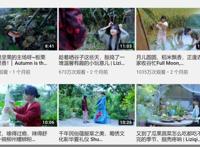 在“李子柒”式的传播滤镜下，快进文化输出