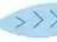 5亿的《熊出没》，200万的《大世界》，彩条屋要做哪种动画电影？