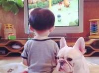 最适合学习英语的40部经典动画，必备！