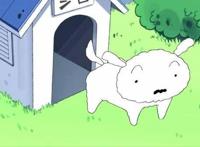 动漫里出名狗狗大盘点，你是不是知道的不止这些？