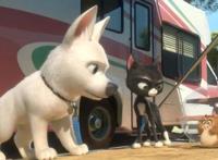 动漫里出名狗狗大盘点，你是不是知道的不止这些？