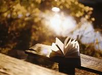 值得收藏！30本适合阅读的好书！（内含福利）