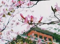 值得收藏！30本适合阅读的好书！（内含福利）