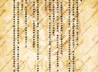 overlord不死者之王：十四卷灭国魔女，对白金龙王及他的话分析