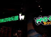 杭州萧山首家室内沉浸式萌宠互动乐园开园！近千只网红萌宠等你来撸