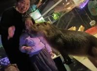 杭州萧山首家室内沉浸式萌宠互动乐园开园！近千只网红萌宠等你来撸