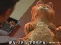 加菲猫电影，一只懒惰贪吃的猫生赢家，赢得了世界影迷的心