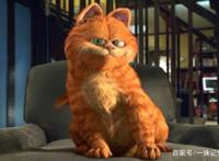 加菲猫电影，一只懒惰贪吃的猫生赢家，赢得了世界影迷的心