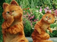 加菲猫电影，一只懒惰贪吃的猫生赢家，赢得了世界影迷的心