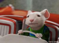 推荐5部值得一看的动画真人电影