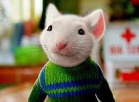 这些老鼠可了不得，闻名世界不说还创造了动漫新历史