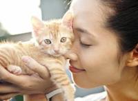 喵咪集结令盘点电影、动画片里治愈系超萌喵星人