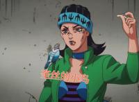 “动物之友”再次发力，石之海动画中，已经有哪些动物领便当了？