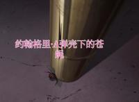 “动物之友”再次发力，石之海动画中，已经有哪些动物领便当了？