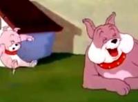 在猫和老鼠中几个情节中没有出现杰瑞，汤姆是整个动漫的笑点担当