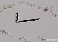 坐在你肩头，我眺望到了世界的美好，看到了世界上无处不在的坚强