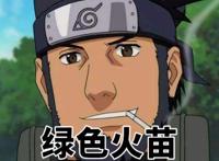 木叶八色，黄色闪光，苍蓝猛兽，木叶白牙，剩下五色你知道多少？