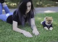 六月催泪弹！这部绝美动画令人回味无穷