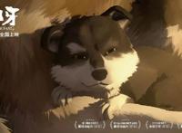 六月催泪弹！这部绝美动画令人回味无穷