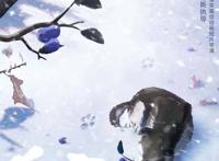 《白牙》：从狼到狗，感染人类的寓意不只是它半生历经磨难的故事