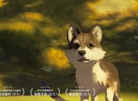 动画电影系列之《白牙》，不能成为王者的斗犬，不是勇敢的狼