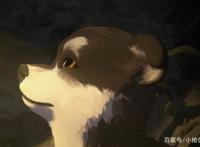 小说改编的动漫《白牙》，人类与狗的故事，你被感动到了吗？